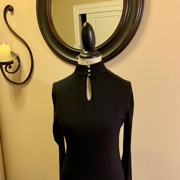 NWT, INC TOP. RHINESTONE BUTTONS. SHEER SLEEVES💕GREAT GIFT. - Picture 2 of 13